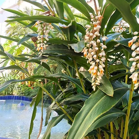 Puerto Banus, Los Naranjos De Marbella, Luxury